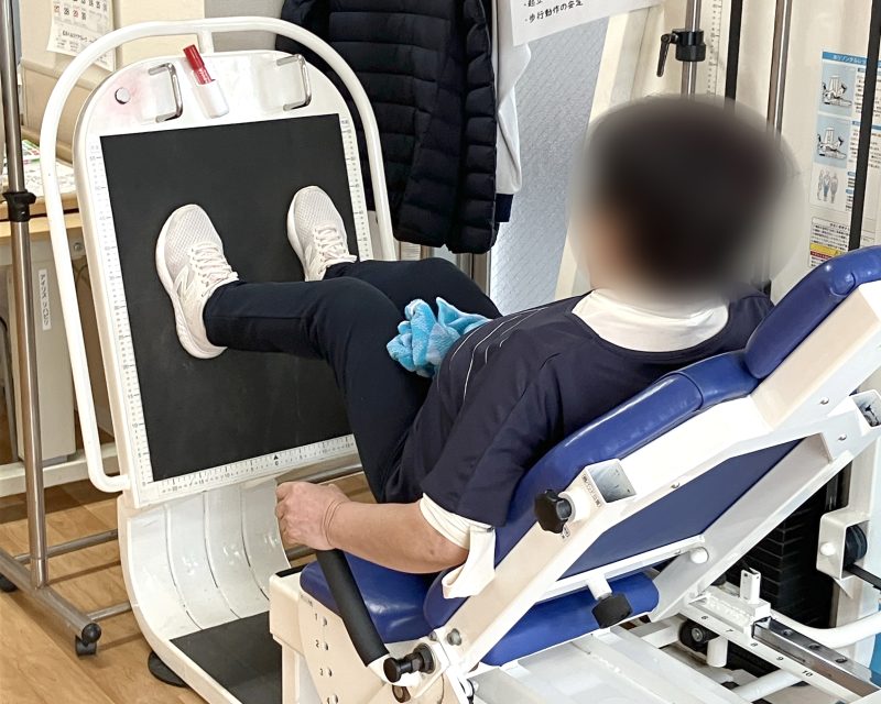 【毎月第3日曜開催】アイリスハートフルサンデー