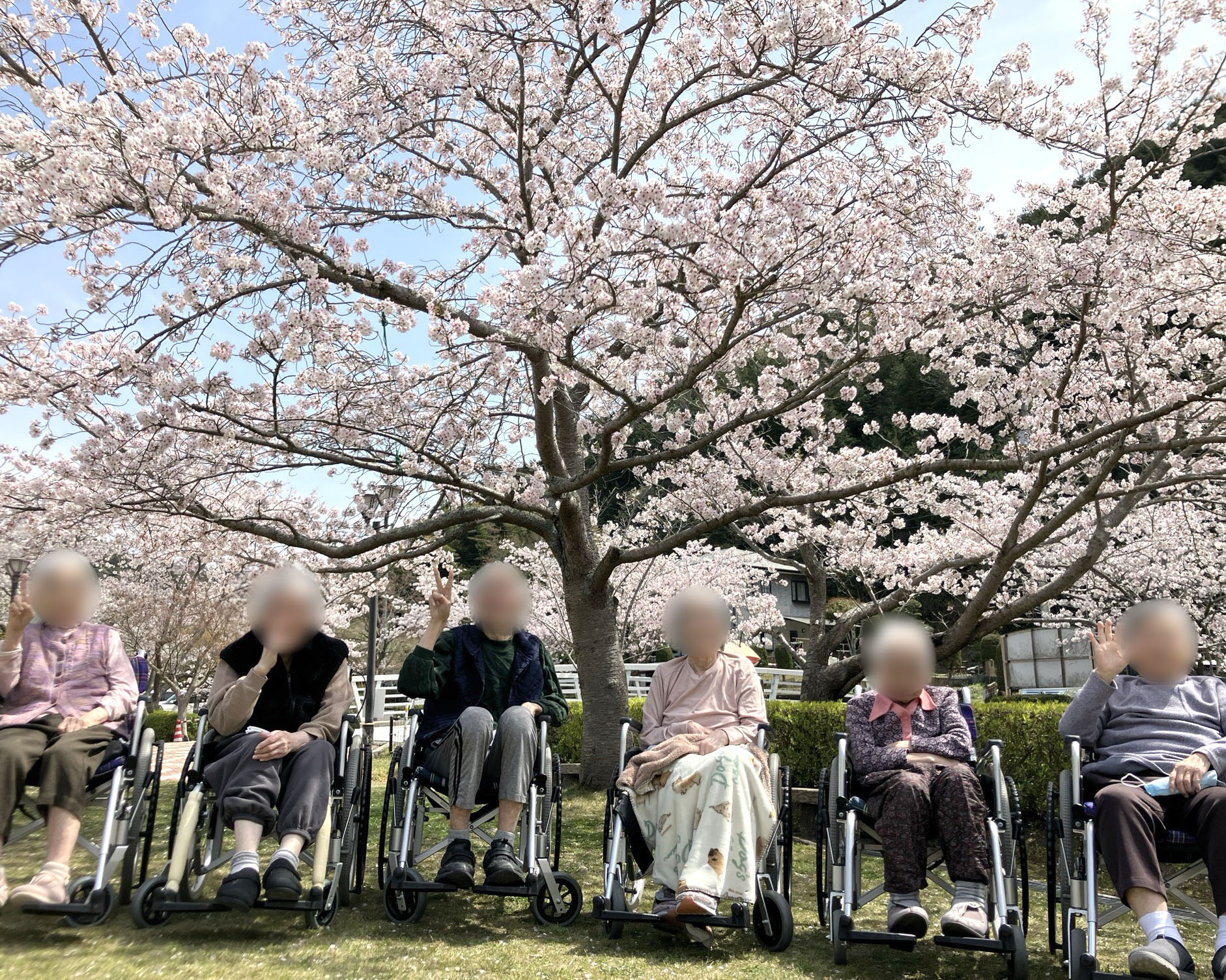 【アイリス】外出行事で春の訪れを感じました🌸
